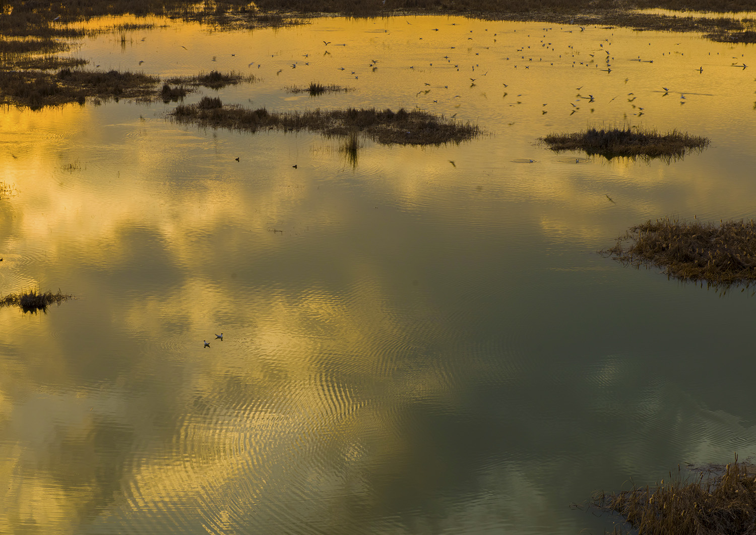 �������͡���