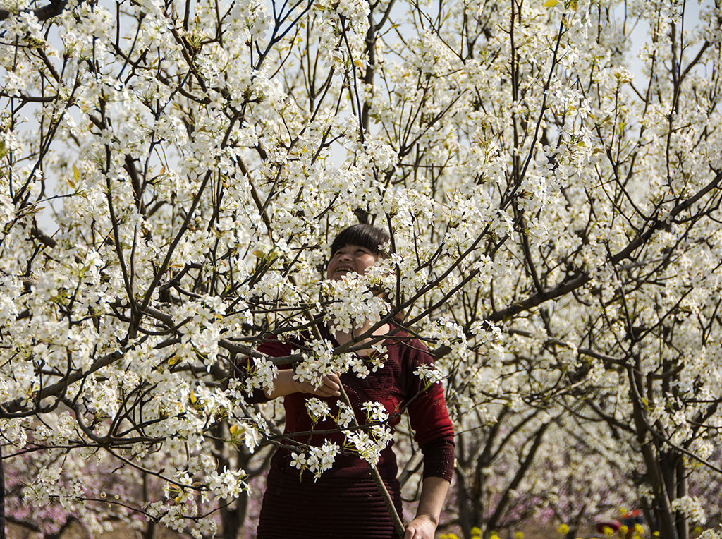 ����Ц......