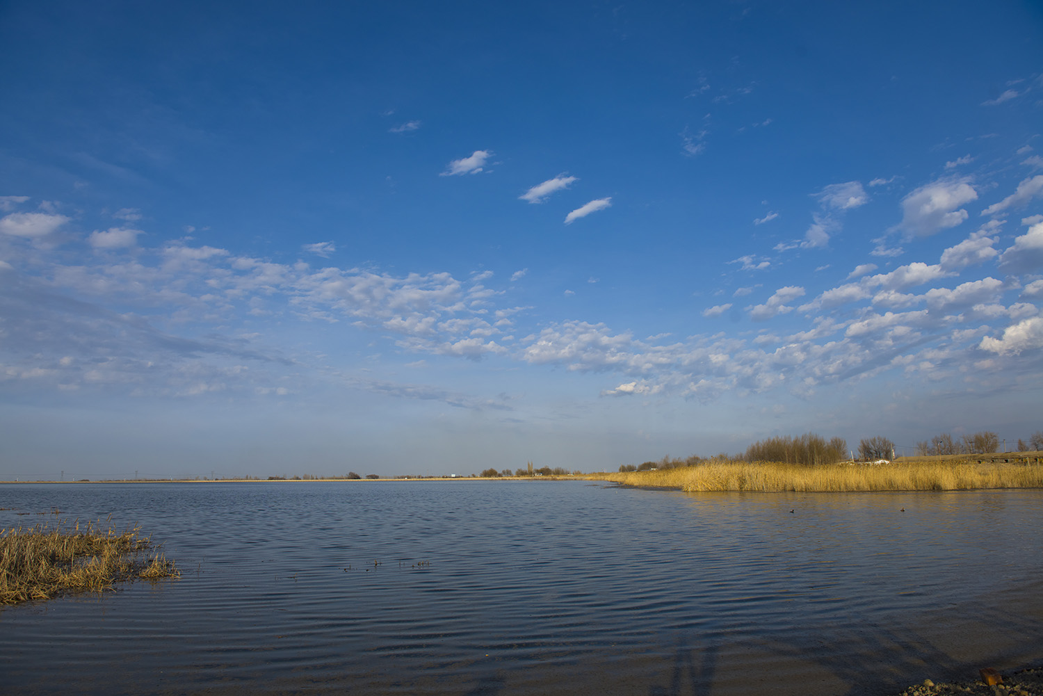 һ����ˮ������