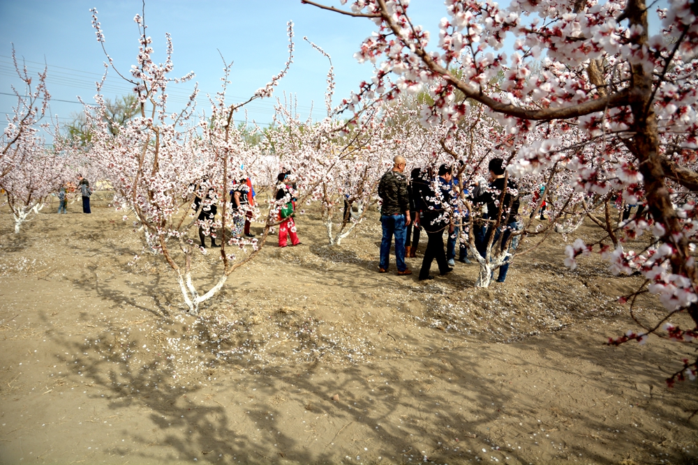 ۷�ư��ղ����翴�ӻ� 015_����.jpg