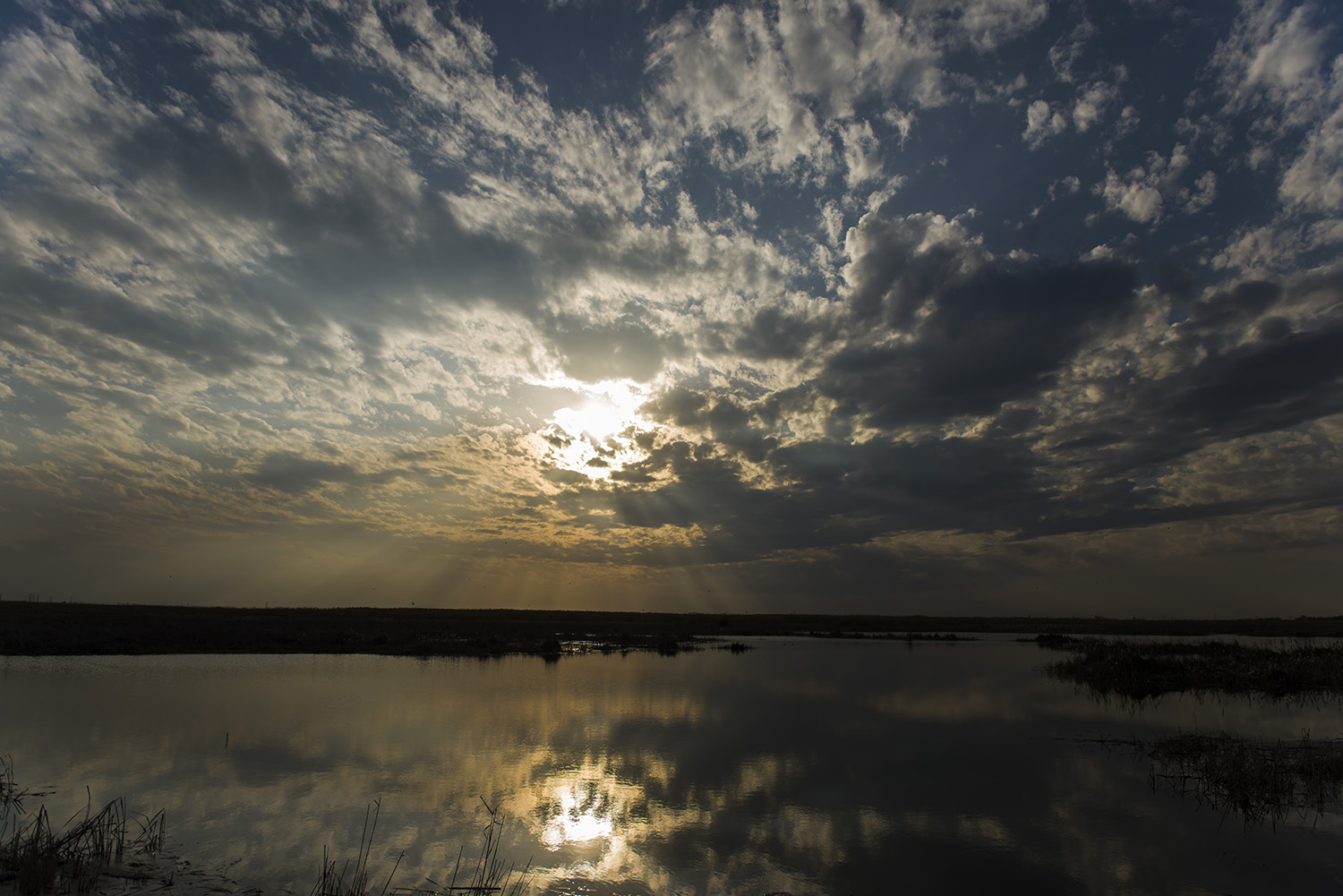 ϼ�����䡭��