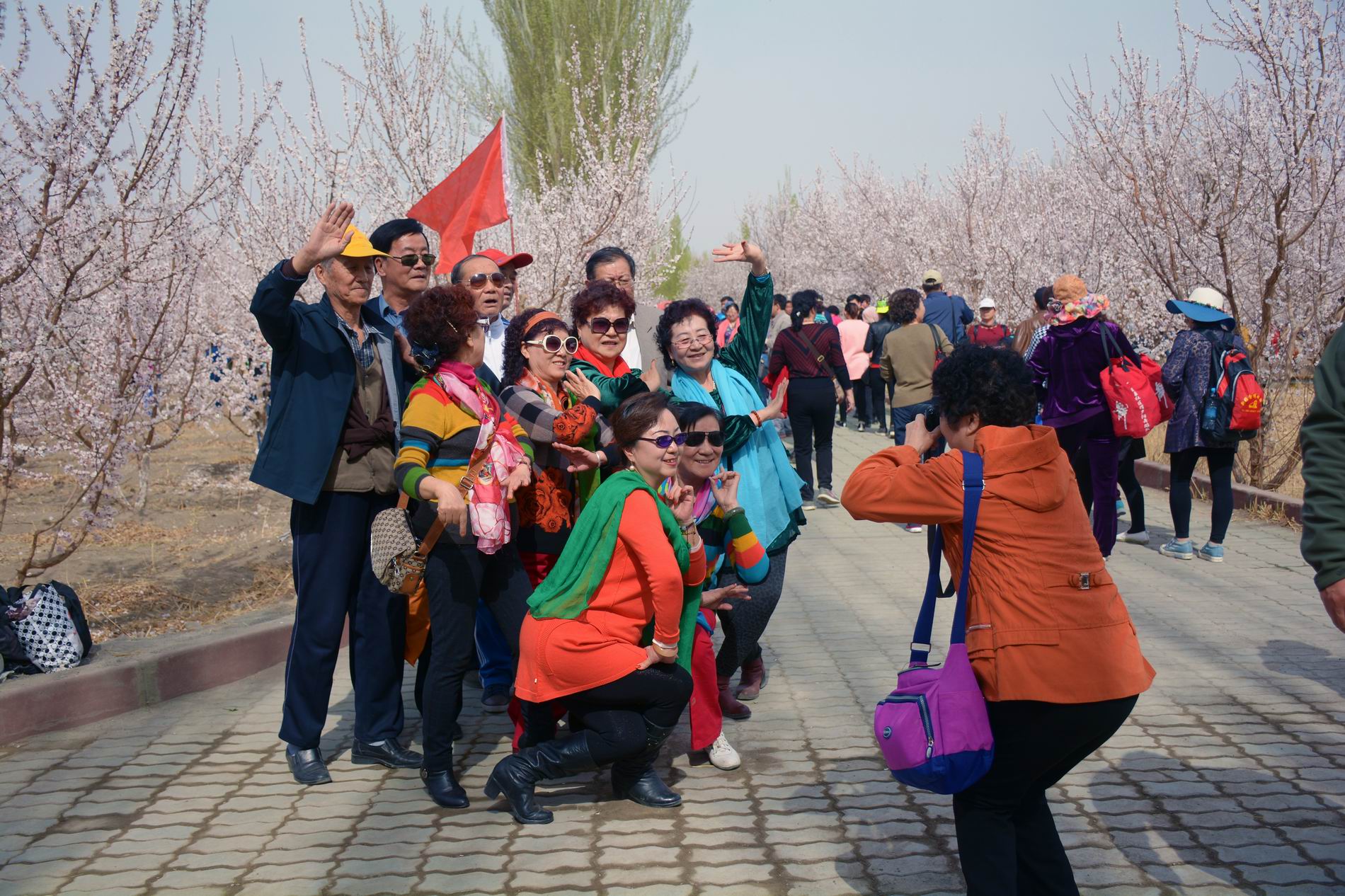 ������С DSC_5167.JPG