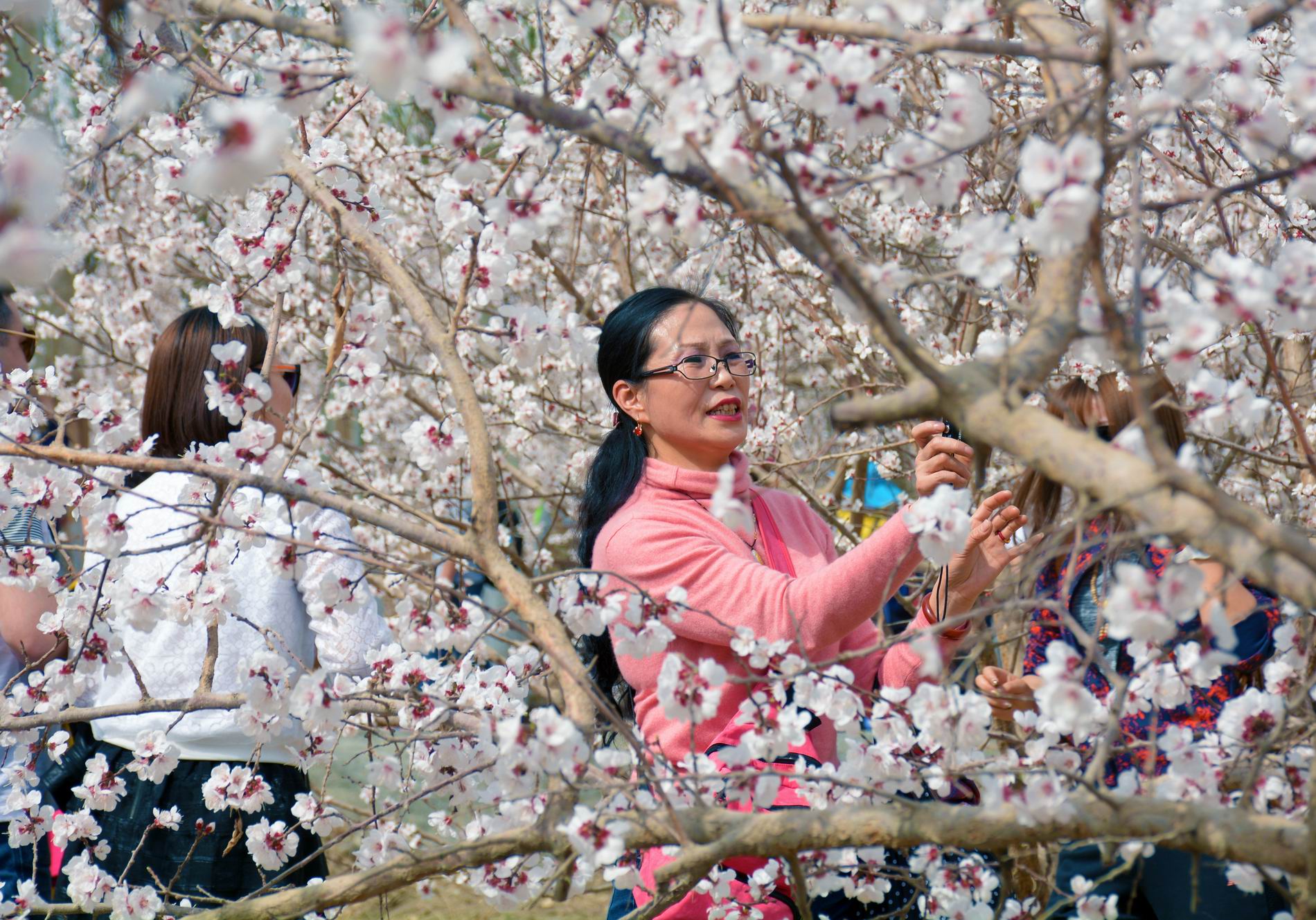 ������С DSC_5174.JPG