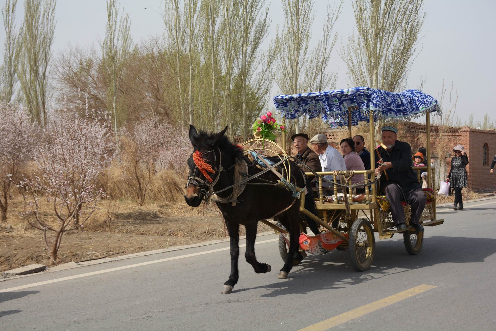 ������С DSC_5279.JPG