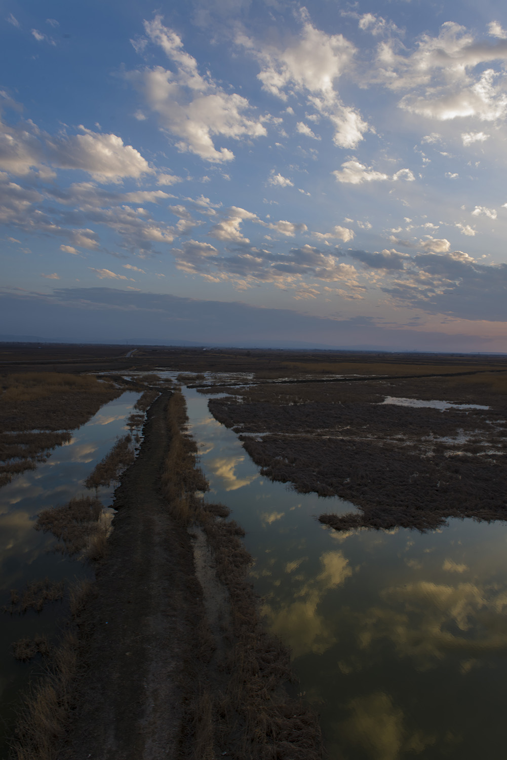 ʪ��һƳ����