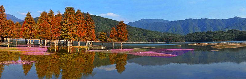 DSC_2837 asPanorama.jpg