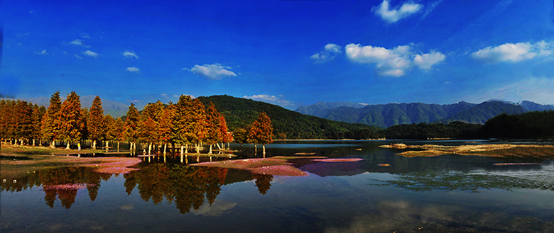 DSC_2855zz Panorama.jpg