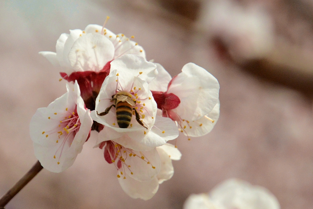 ۷�ư��ղ����翴�ӻ� 024_����2.jpg