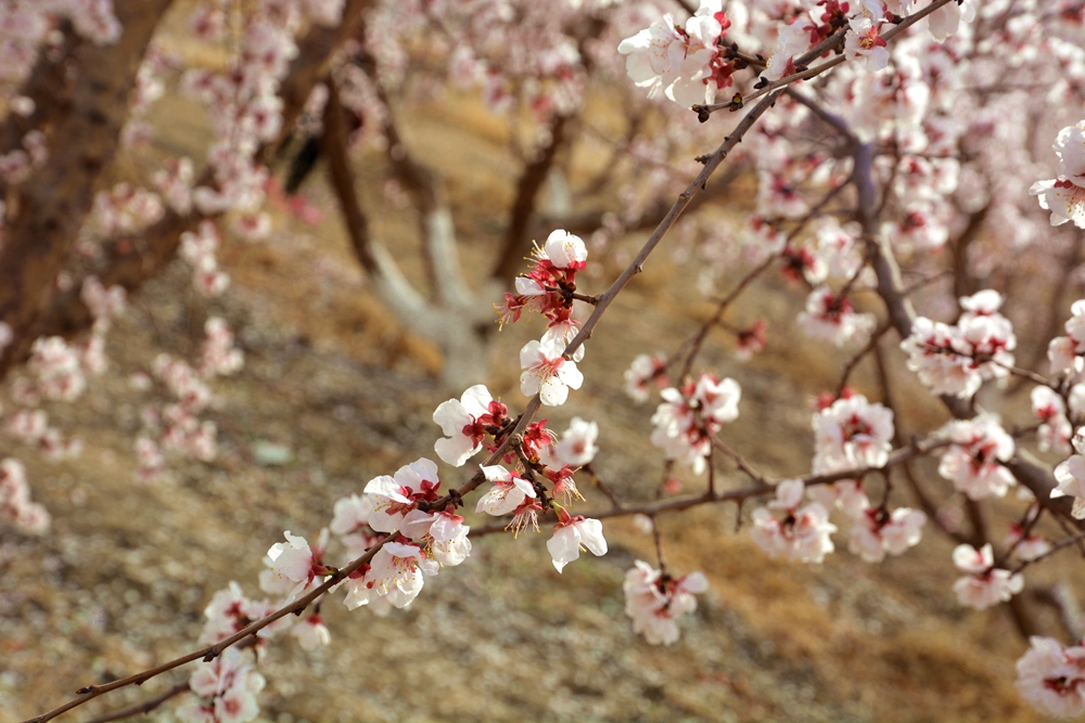 ۷�ư��ղ����翴�ӻ� 017_����.jpg