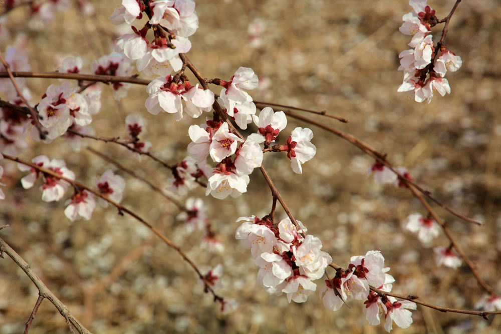 ۷�ư��ղ����翴�ӻ� 018_����.jpg