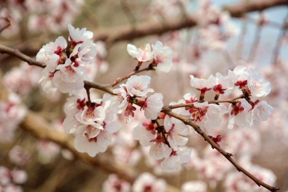 ۷�ư��ղ����翴�ӻ� 019_����.jpg