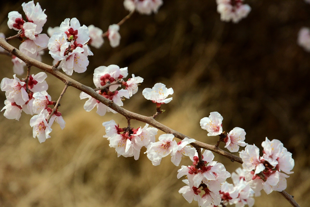 ۷�ư��ղ����翴�ӻ� 020_����.jpg