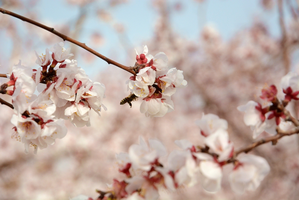 ۷�ư��ղ����翴�ӻ� 021_����.jpg