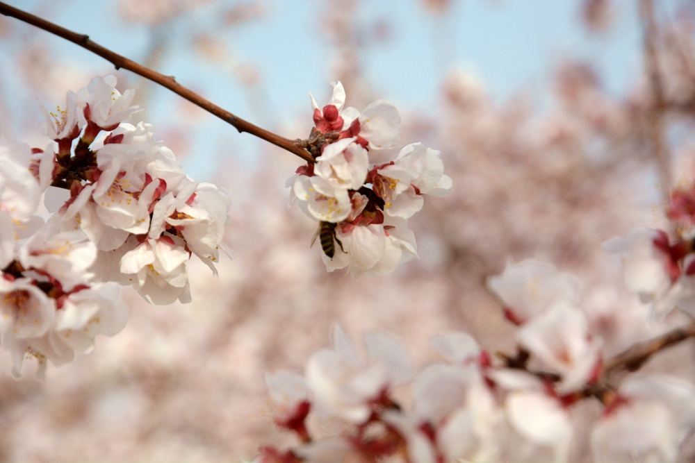 ۷�ư��ղ����翴�ӻ� 022_����.jpg