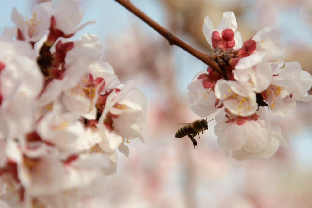 ۷�ư��ղ����翴�ӻ� 023_����1.jpg