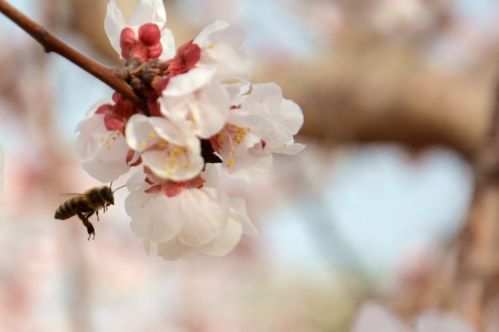 ۷�ư��ղ����翴�ӻ� 023_����1_����2.jpg