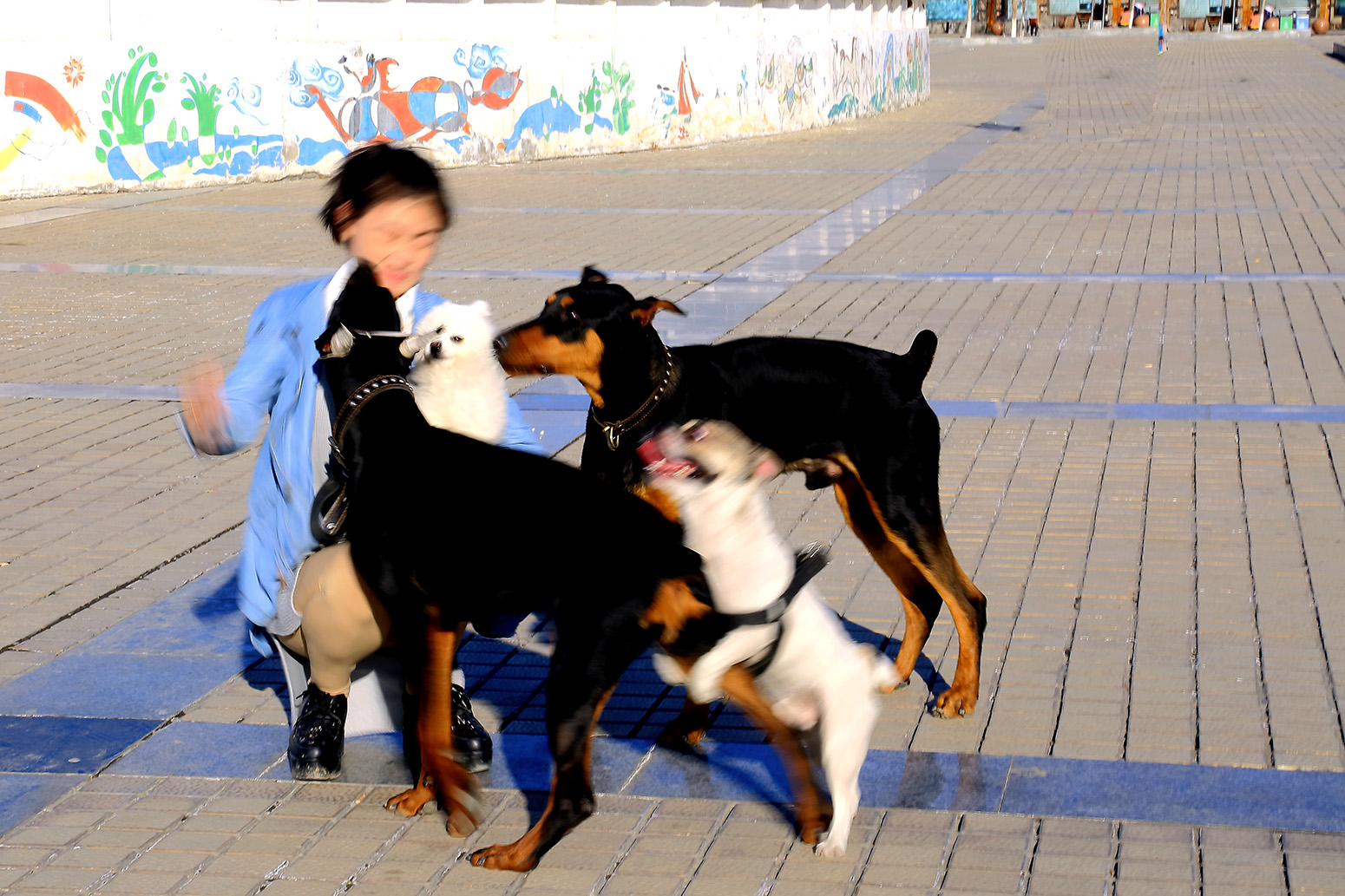 ��Ȥ���� (1).jpg