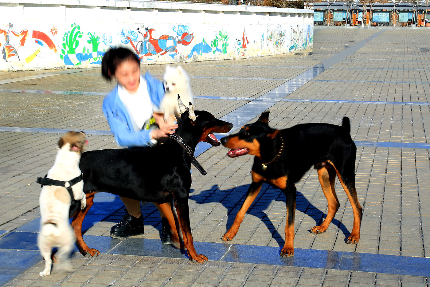 ��Ȥ���� (2).jpg