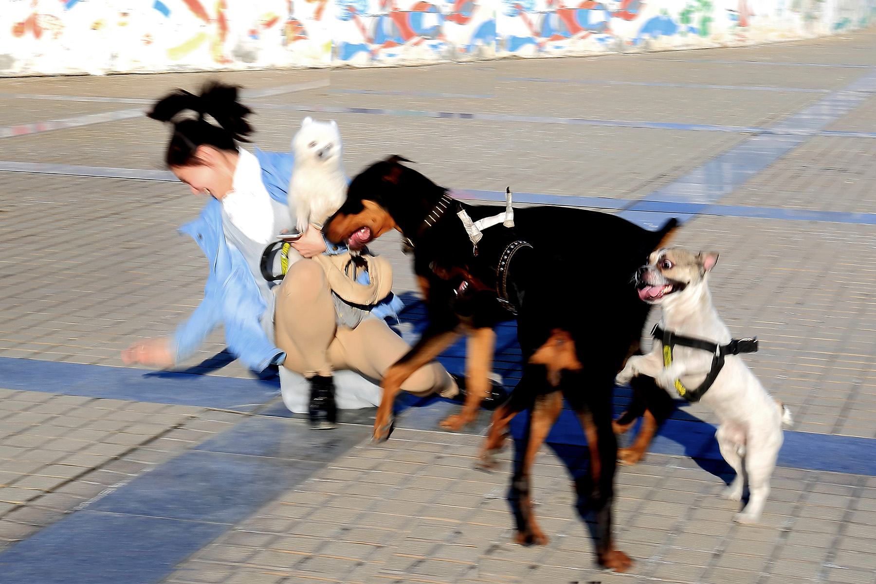 ��Ȥ���� (3).jpg