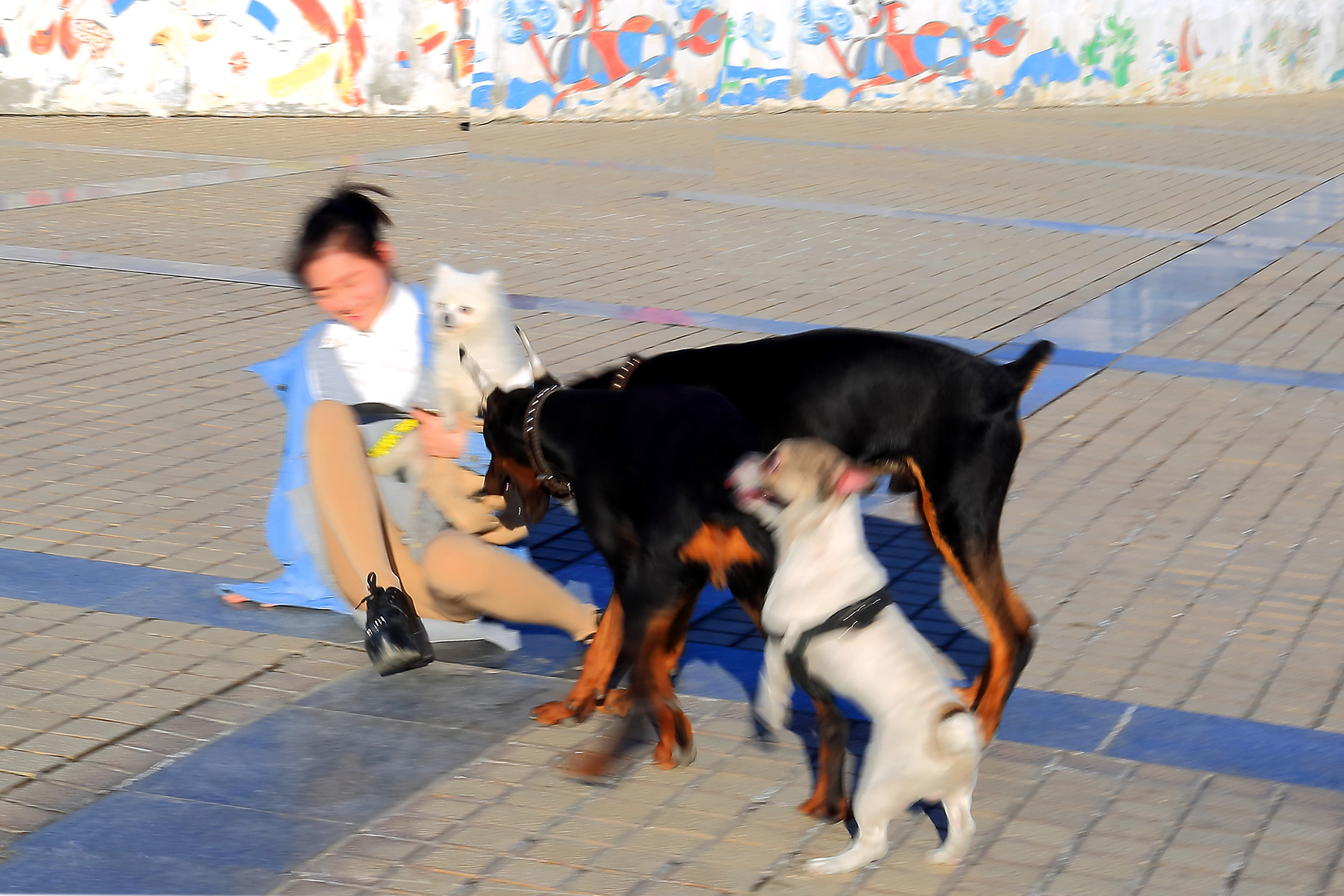 ��Ȥ���� (4).jpg