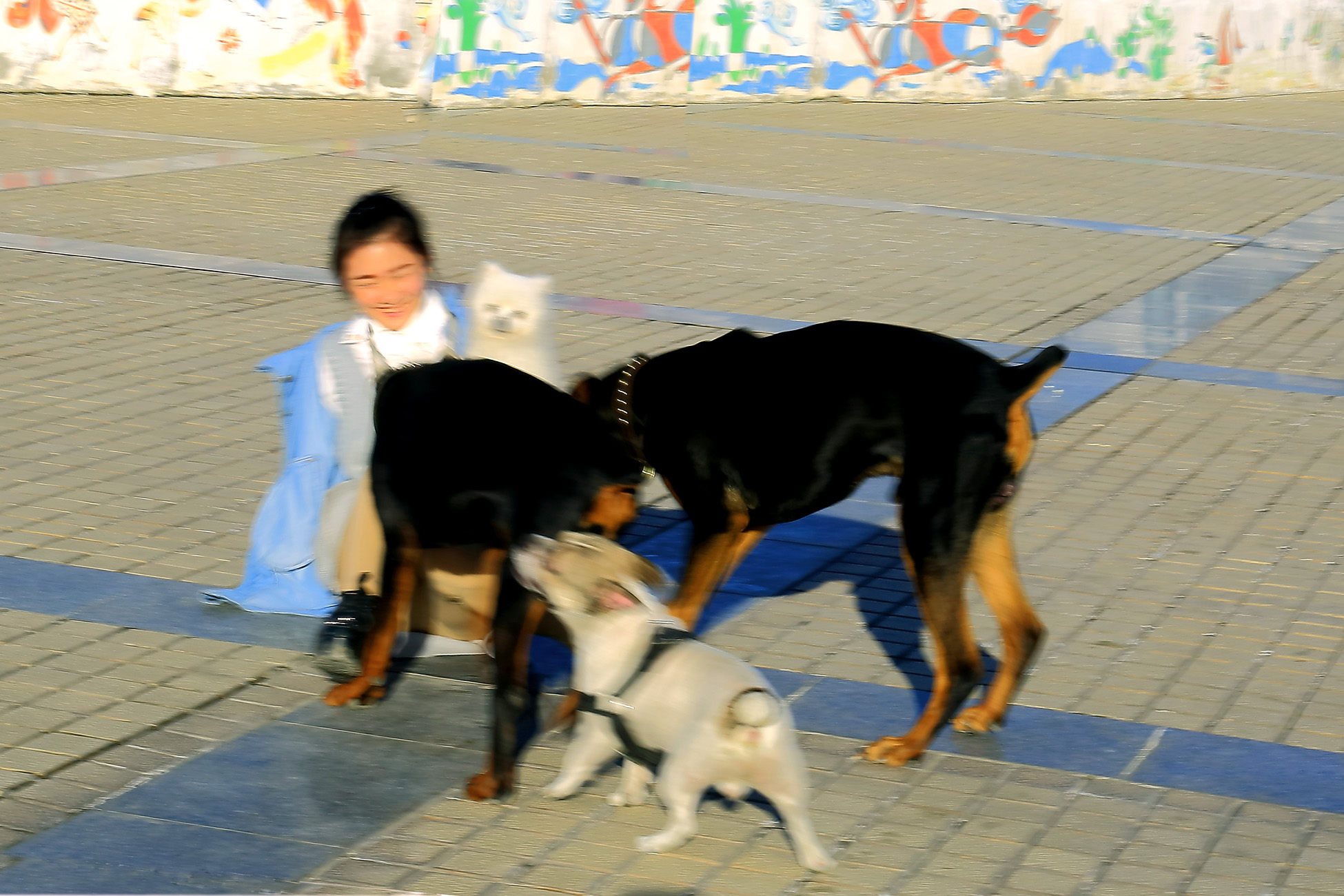 ��Ȥ���� (5).jpg