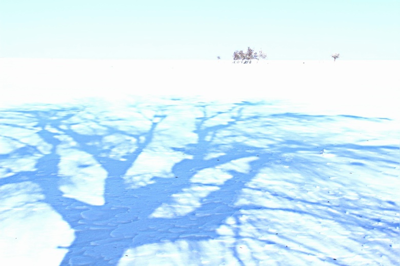 ���ϡ�����������