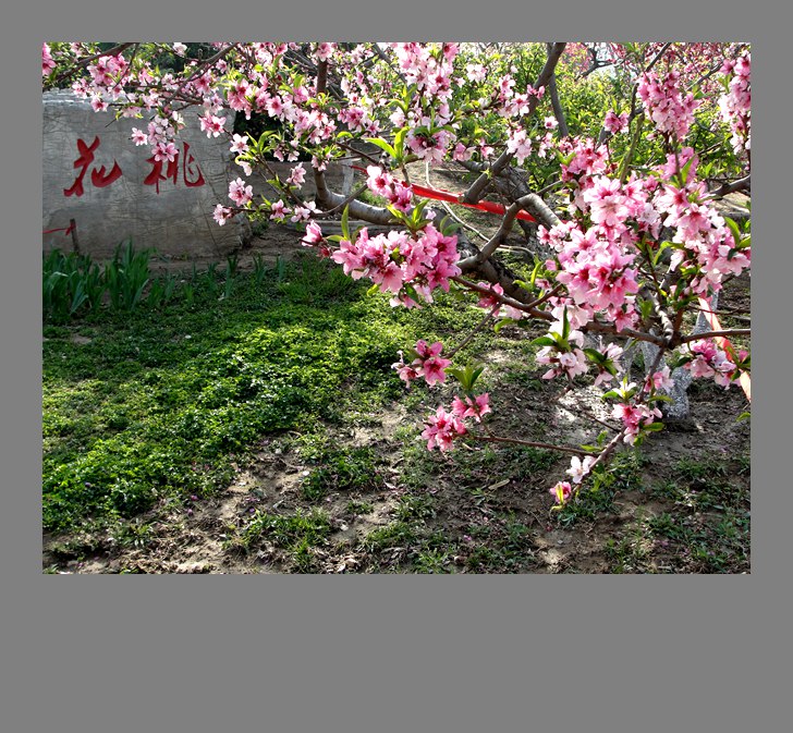 �һ��� (1).jpg