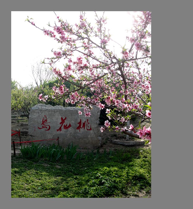 �һ��� (2).jpg