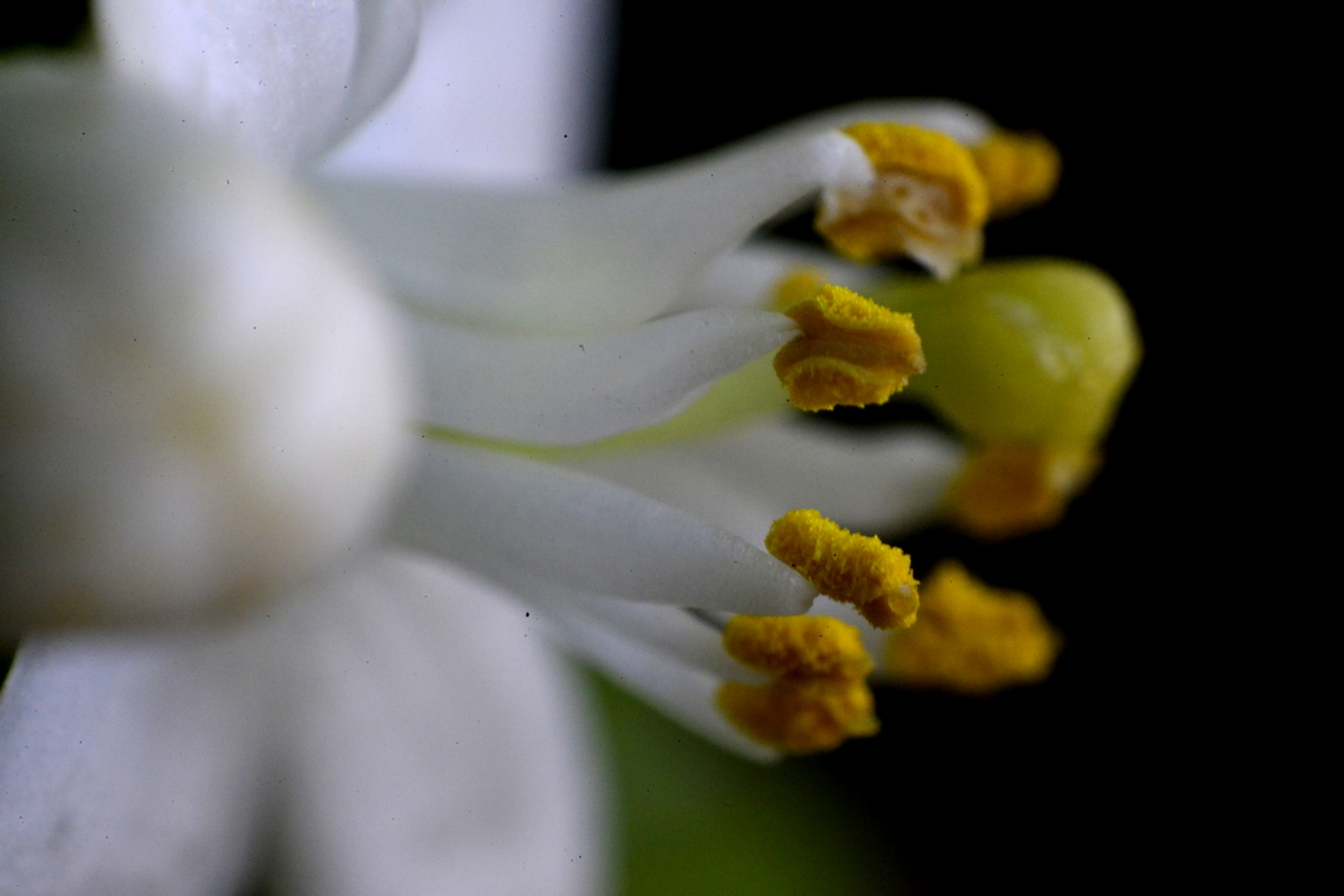 nEO_IMG__DSC7869 - ����.jpg