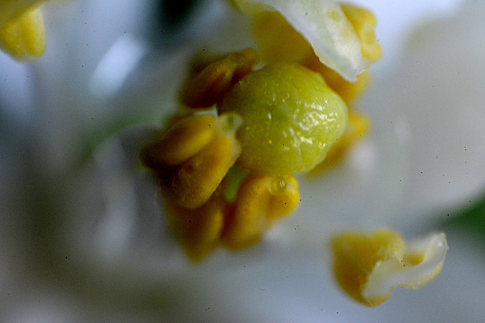 nEO_IMG__DSC7859 - ����.jpg