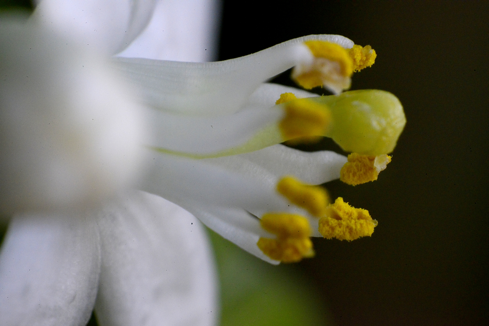 nEO_IMG__DSC7871 - ����.jpg