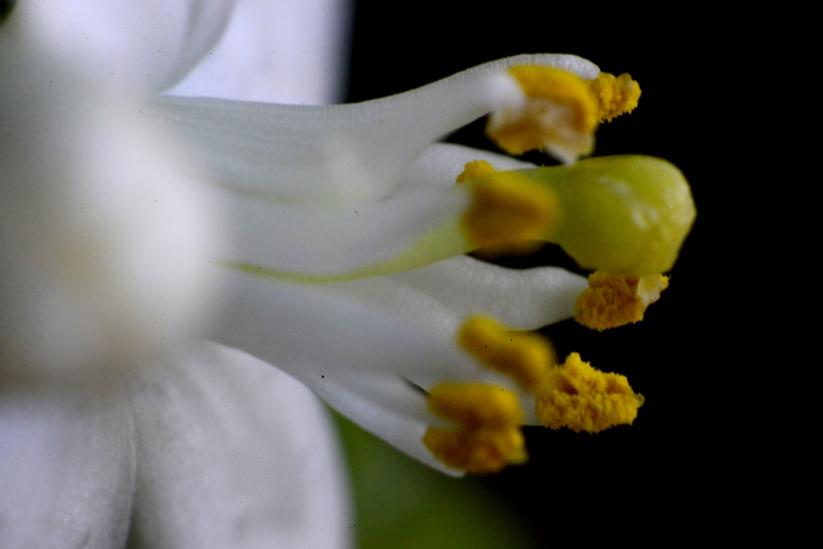 nEO_IMG__DSC7870 - ����.jpg