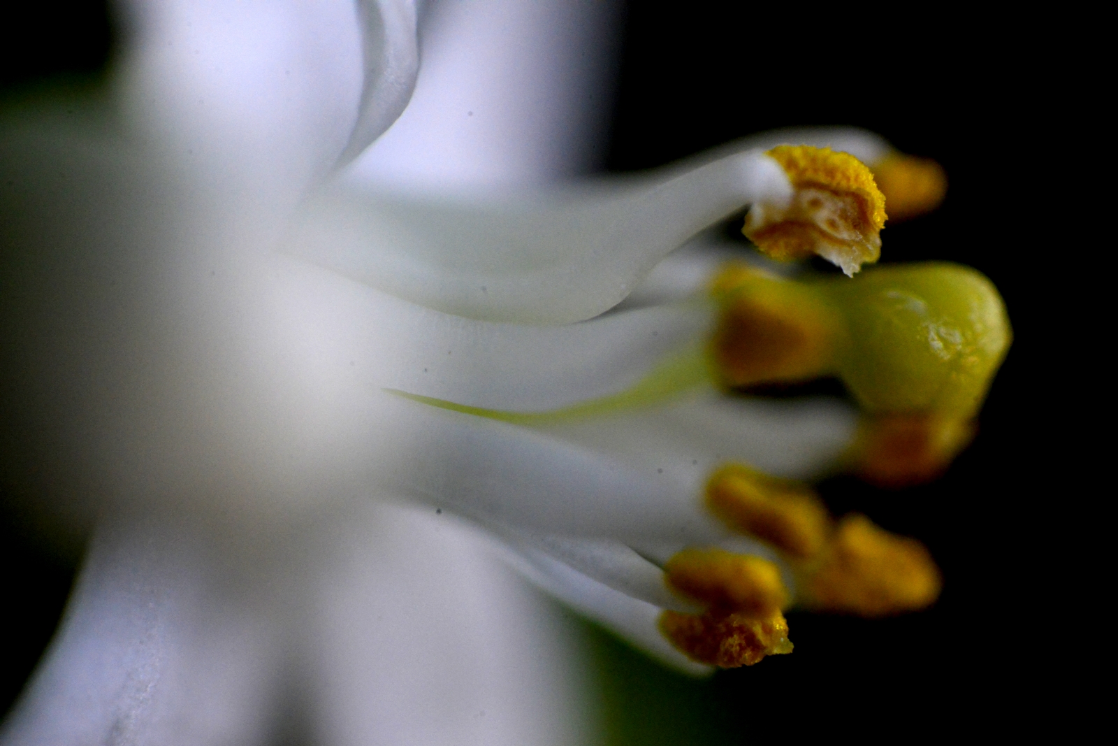 nEO_IMG__DSC7865 - ����.jpg