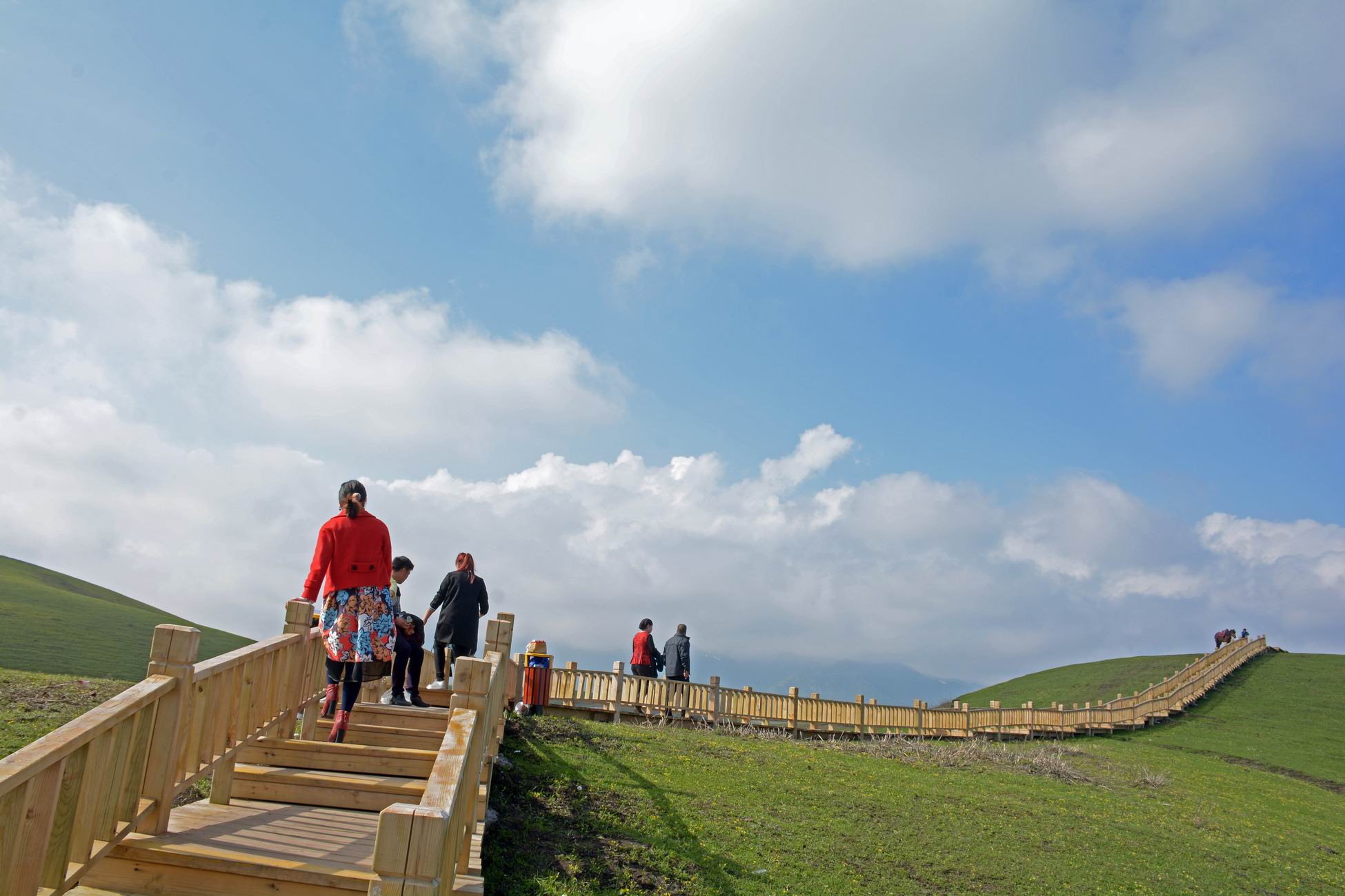 ������С DSC_5515.jpg