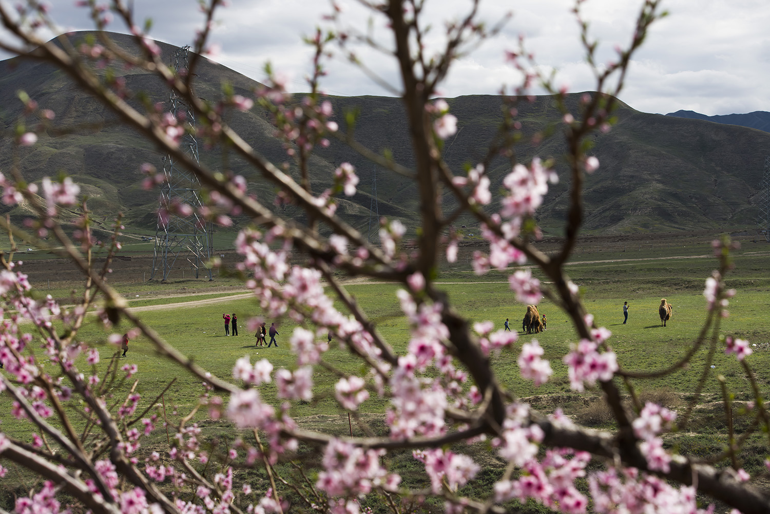 ɽ���µ���һ�