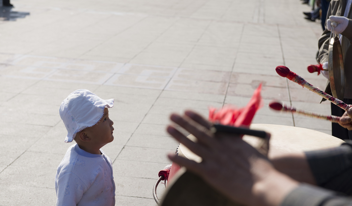 ��Ҫ������