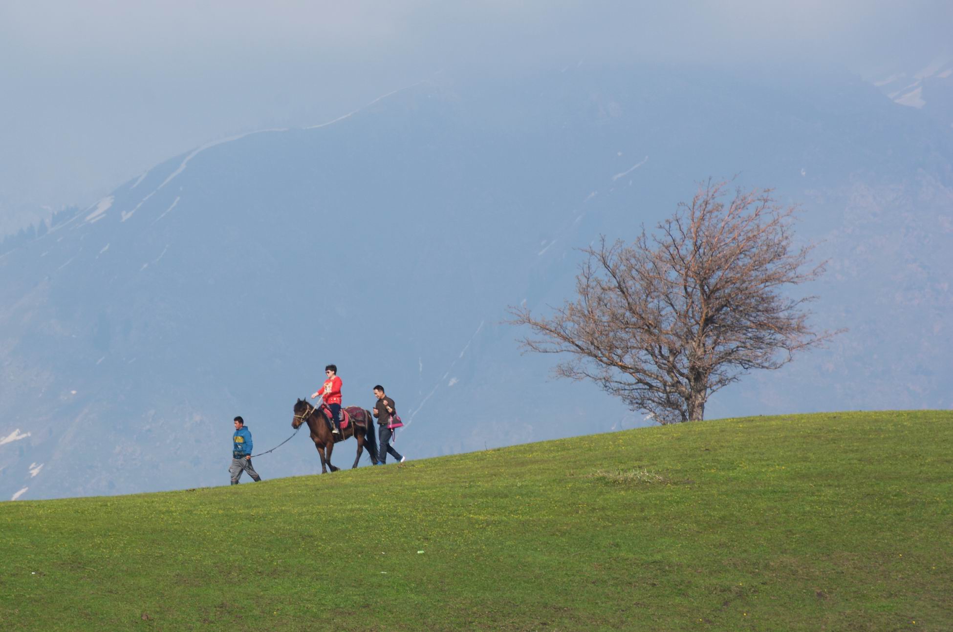 ������С DSC_5556.jpg