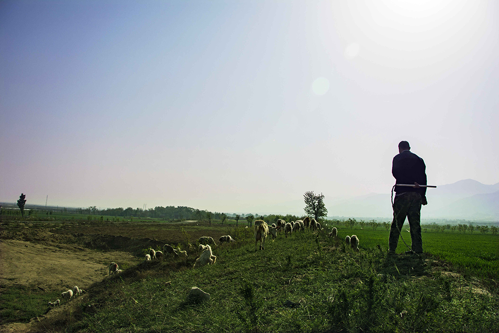 ���Ե�����