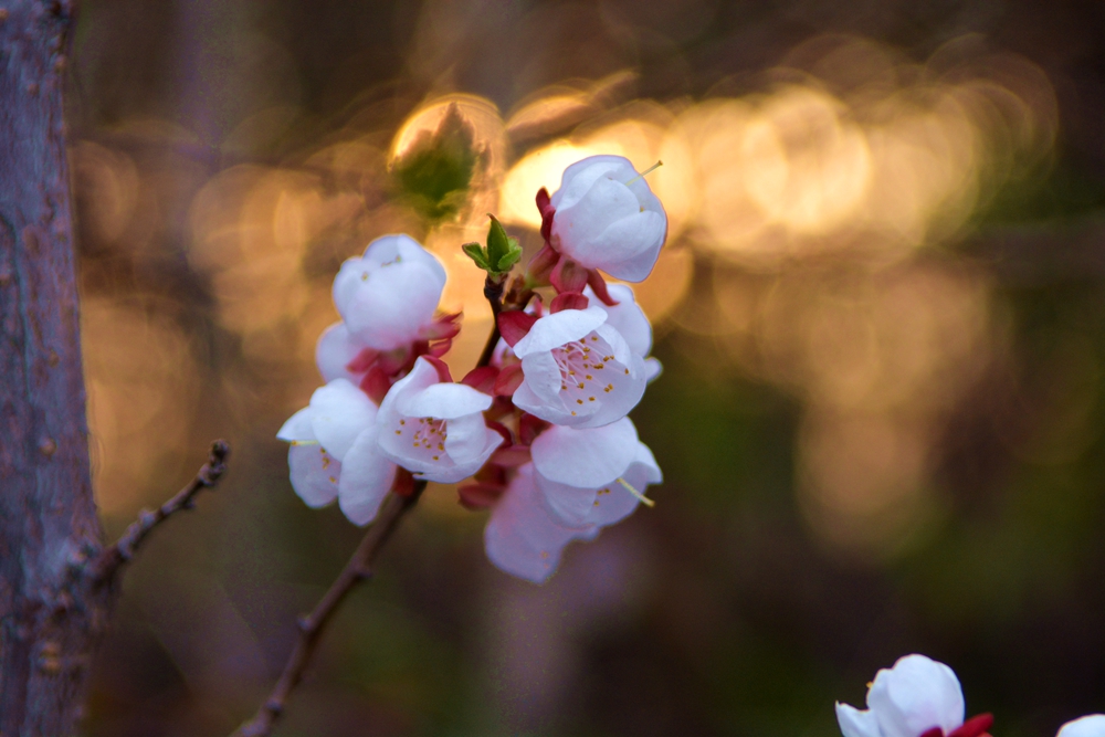 ���� 135_����.jpg