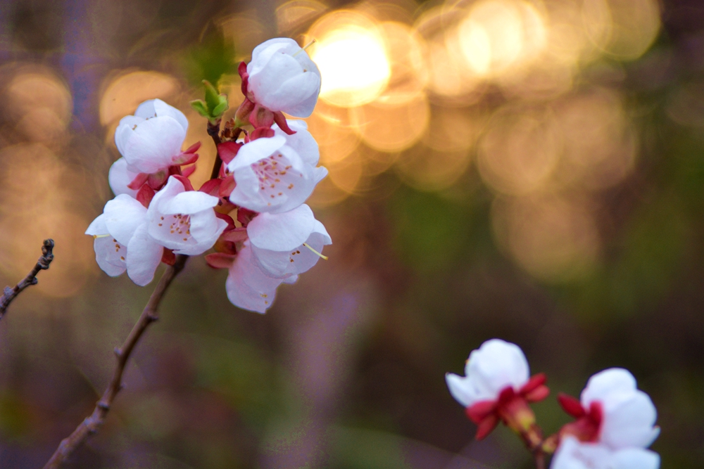 ���� 136_����.jpg