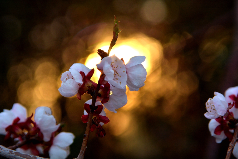 ���� 139_����.jpg