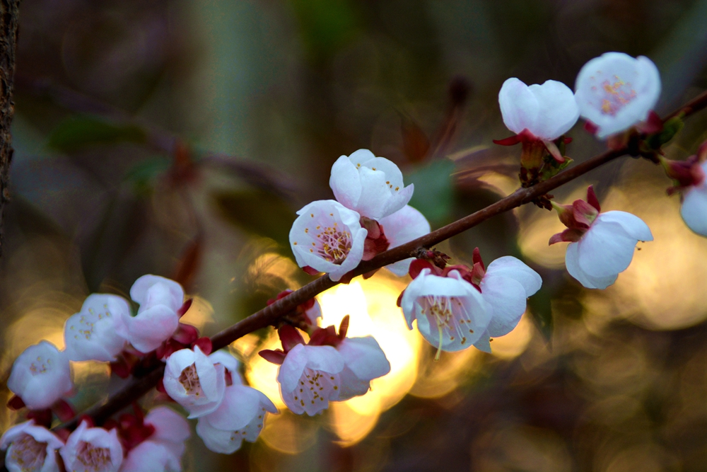 ���� 144_����.jpg