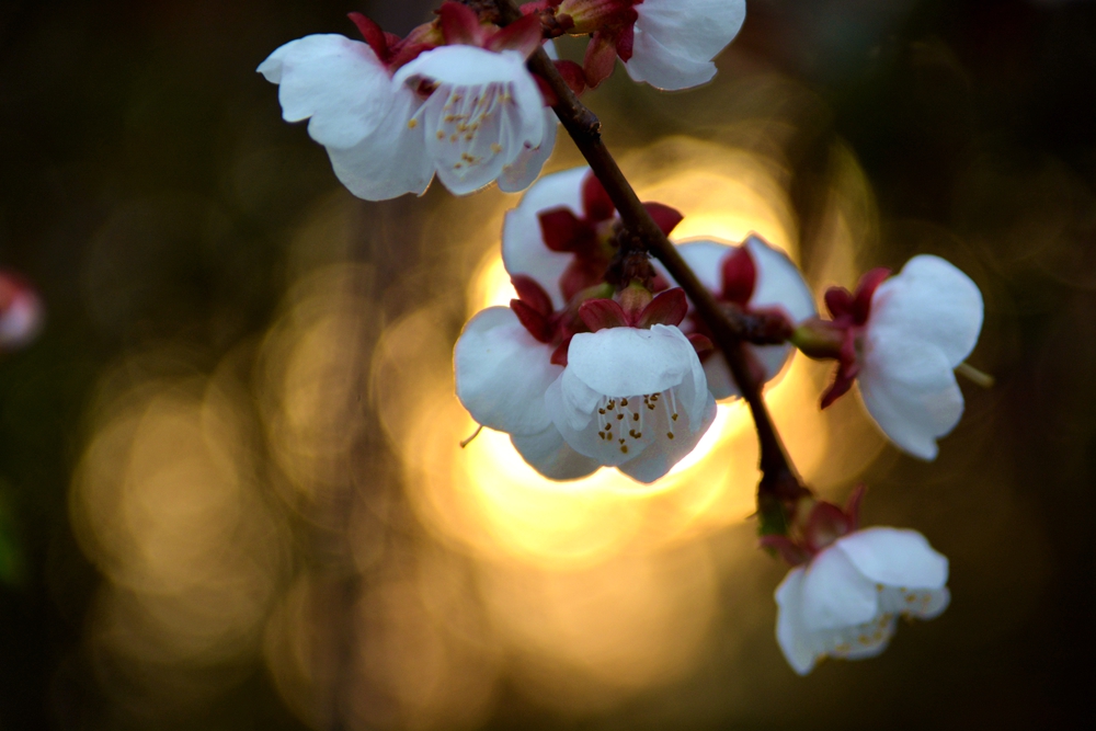 ���� 146_����.jpg