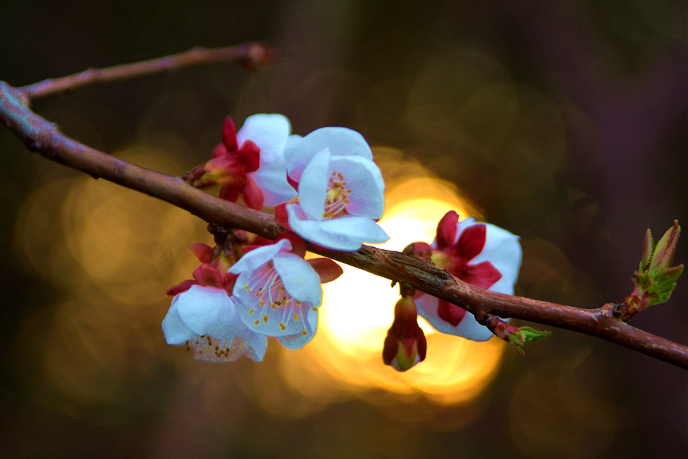 ���� 148_����.jpg