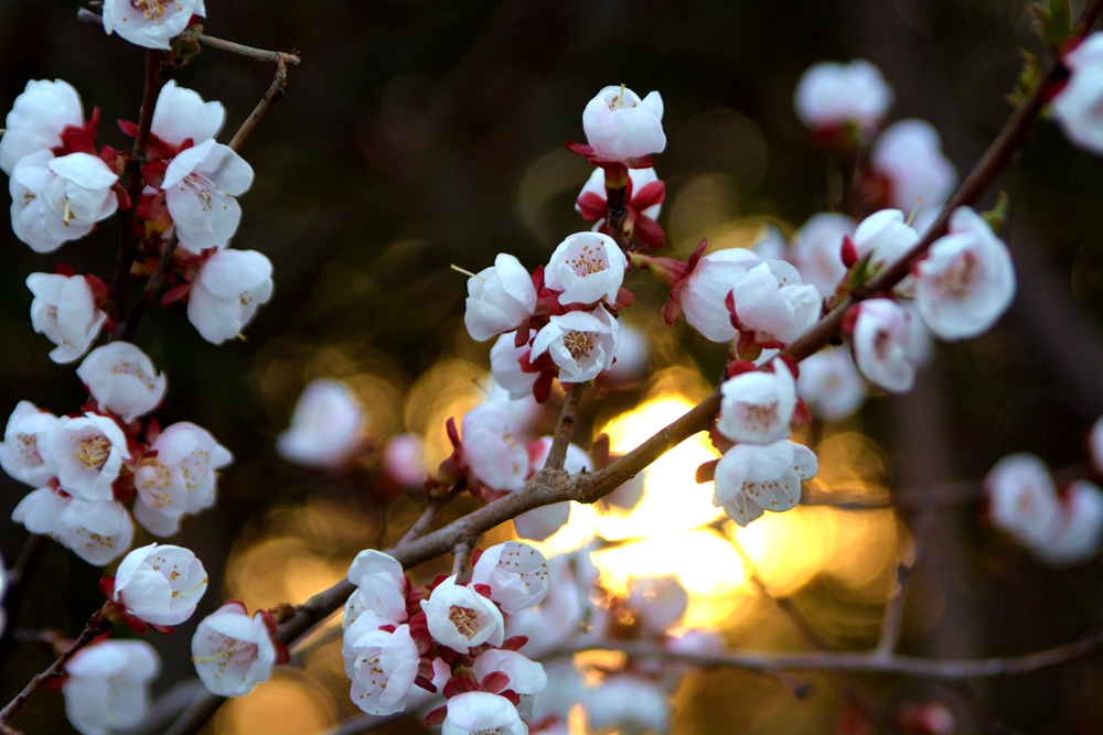 ���� 150_����.jpg