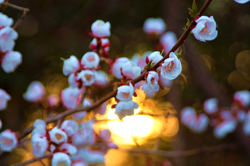 ���� 151_����.jpg