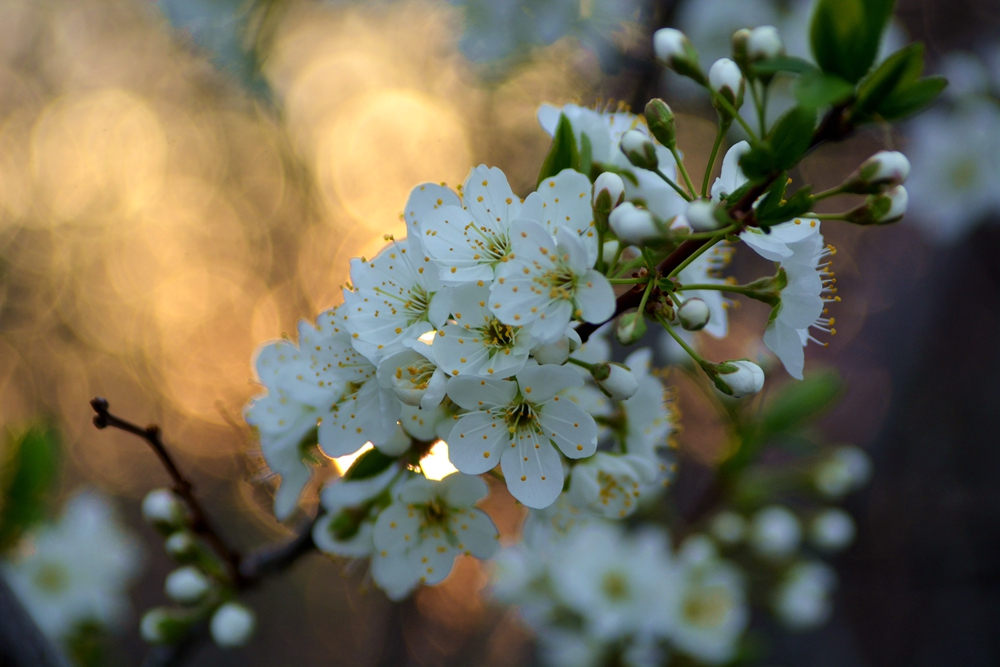 ���� 157_����.jpg