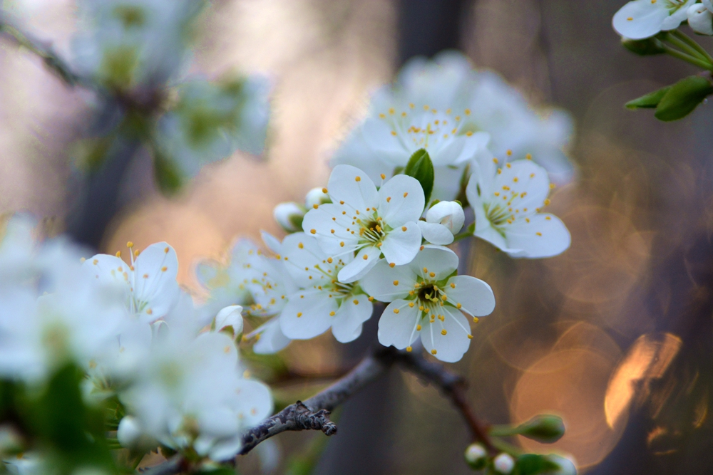 ���� 161_����.jpg