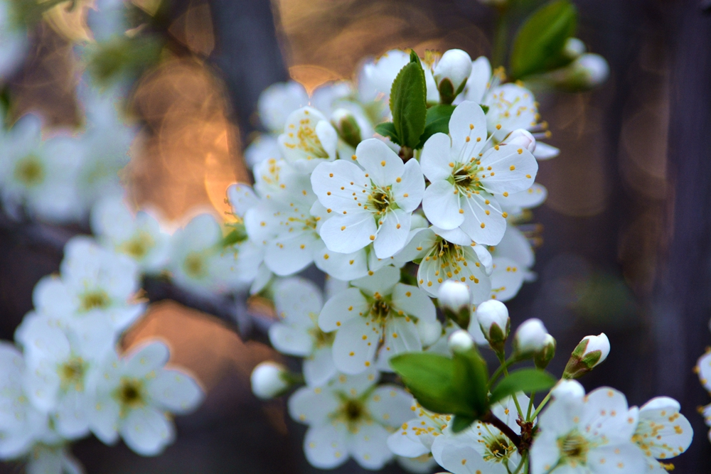 ���� 163_����.jpg