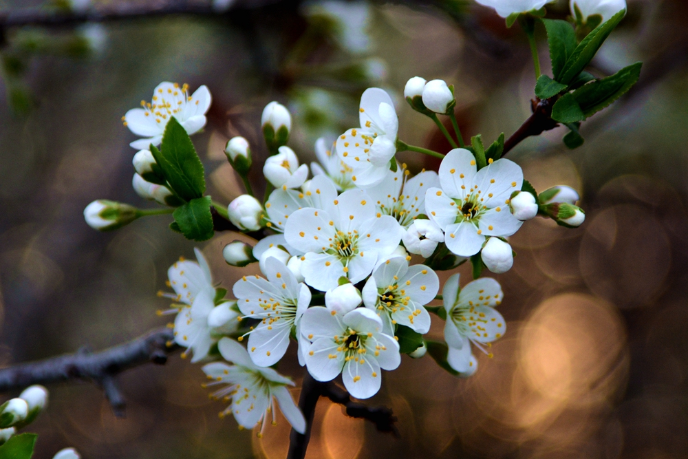 ���� 167_����.jpg